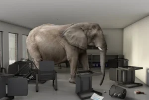 Peace Demo and the Overton Window: The Elephant in the Room of Humanity 1b 300x202