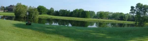 brantford greenie
