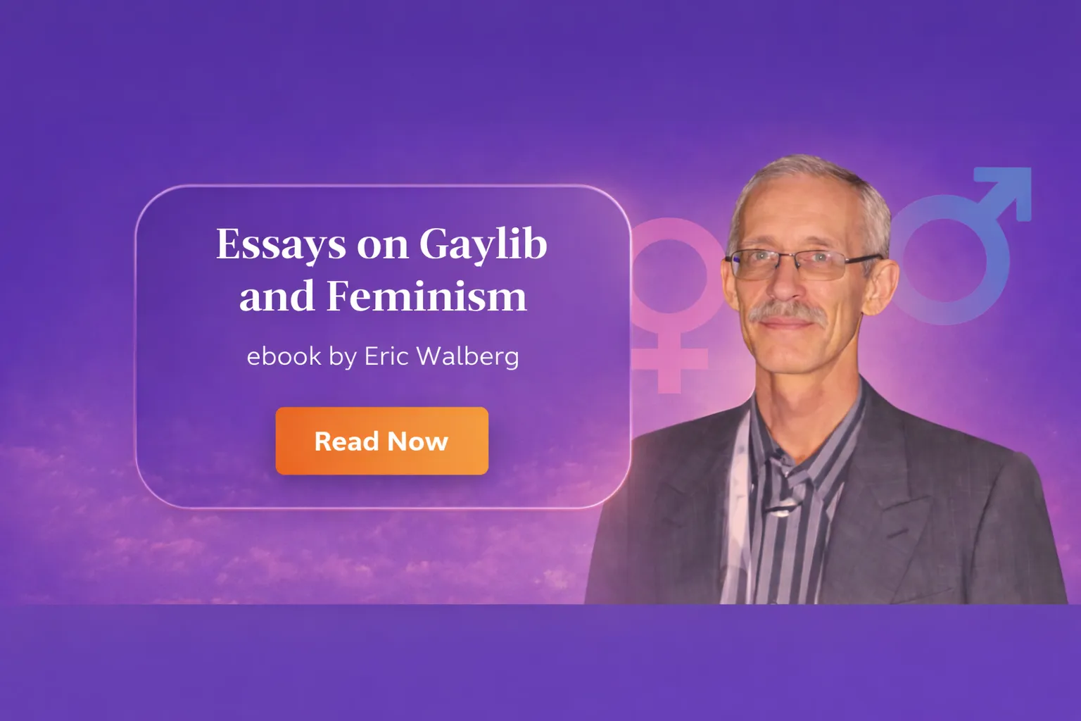 Essays on Gaylib and Feminism ebook by Eric Walberg chatgpt image feb 16, 2026, 10 01 19 pm