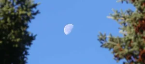 moon waning gibbous